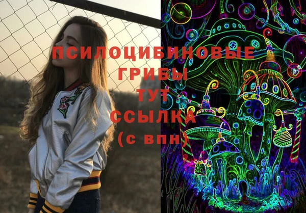 spice Осташков