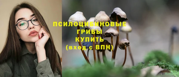 крисы Нягань