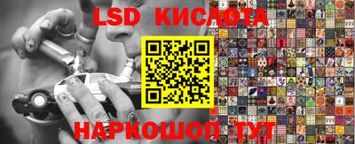 прущие грибы Берёзовский