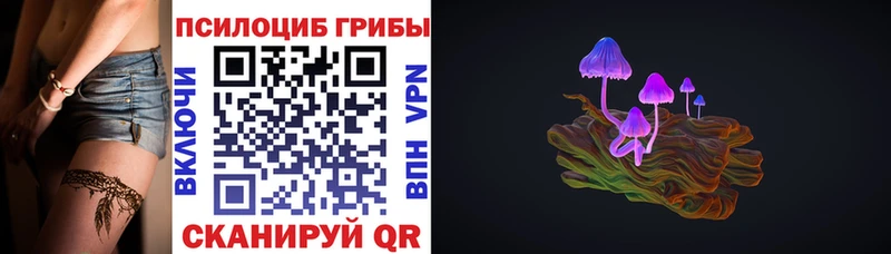 Псилоцибиновые грибы прущие грибы где купить наркоту дарк нет состав Шарыпово ОМГ ОМГ tor