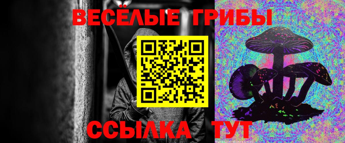Шарыпово  Псилоцибиновые грибы GOLDEN TEACHER  Вход с VPN 